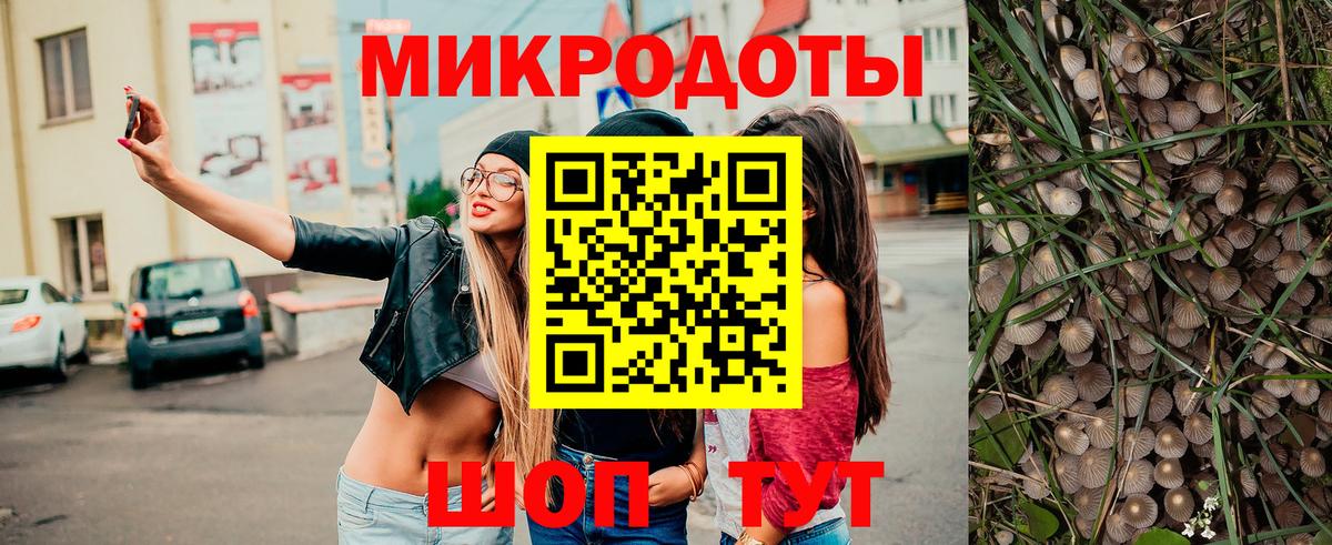 Бутурлиновка  Псилоцибиновые грибы мухоморы  Вход с VPN  Псилоцибиновые грибы Psilocybe 